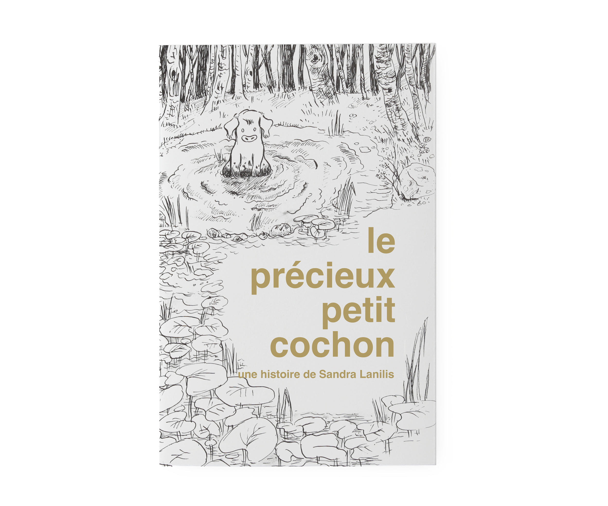 COCHON-SOPHIEBOUXOUM_SUPERCLUB_p.01